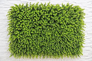 《寂静岭2》对比视频 新版玛利亚被批脸部缺乏情感